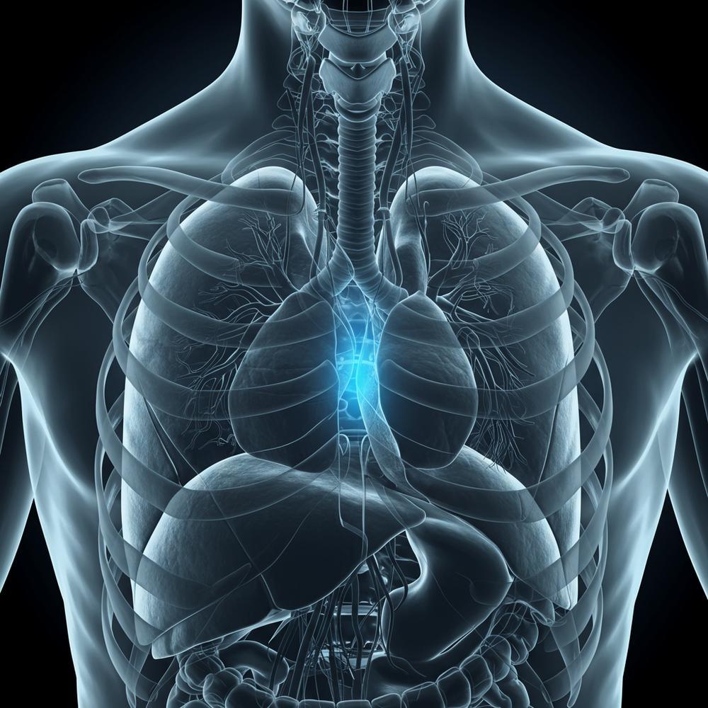 Akciğerleri ve plevral zarları gösteren, iltihaplanmayı temsil eden hafif mavi bir parıltı ile vurgulanmış, fotogerçekçi bir tıbbi illüstrasyon.